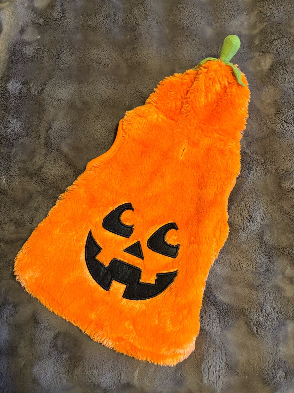 Pup crew, small dog pumpkin costume